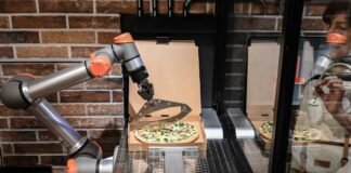 pizza robot 2