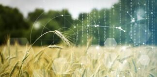 Orisha Agrifood agrupa bajo la marca NORA sus soluciones digitales para el sector agroalimentario